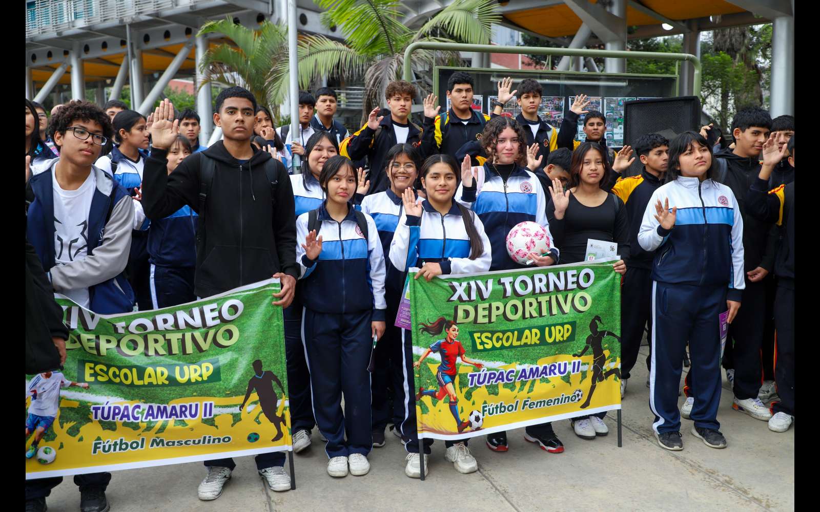 Imagen 6