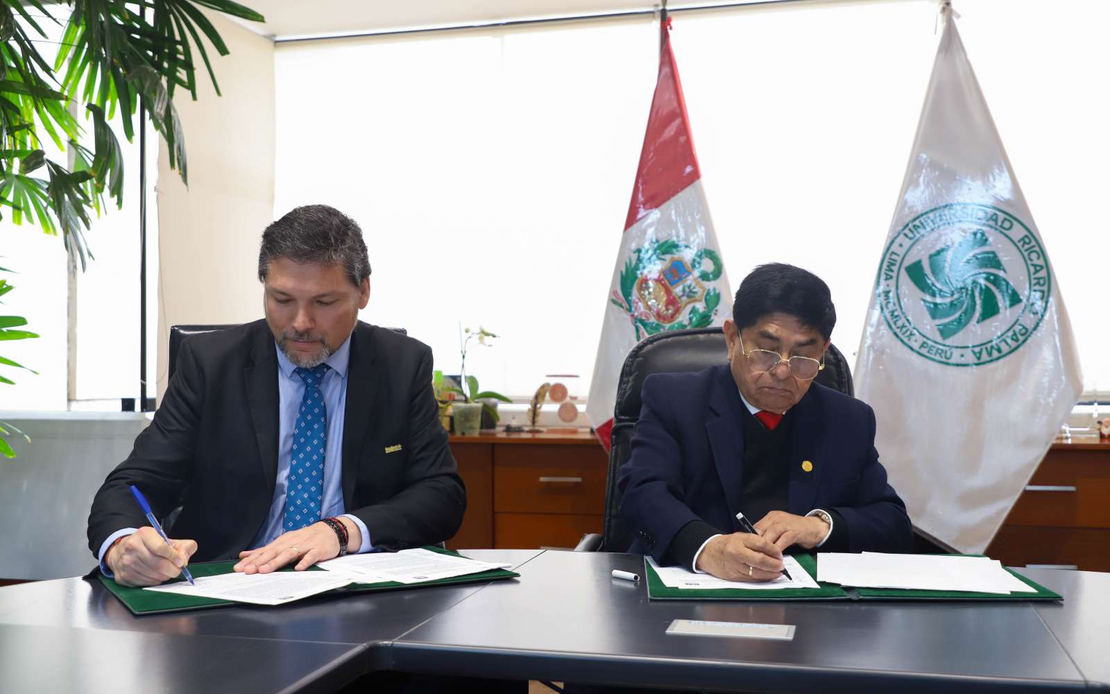 Imagen 2