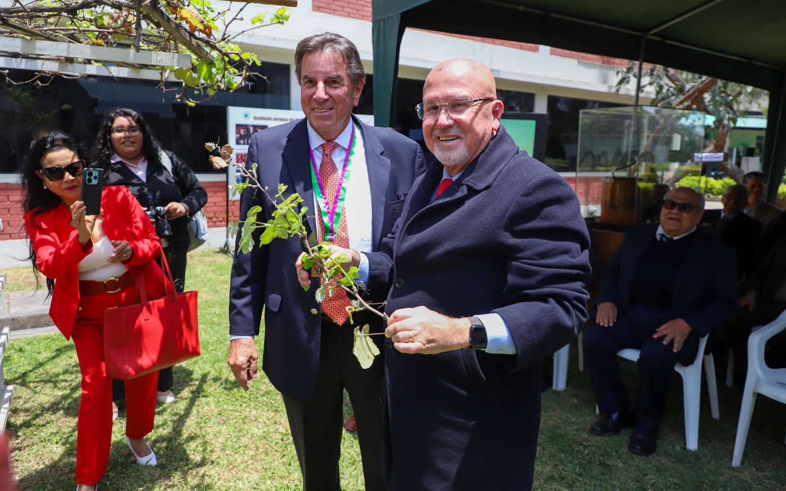 Imagen 9