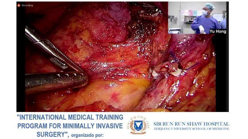 INTERNATIONAL MEDICAL TRAINING PROGRAM FOR MINIMALLY INVASIVE SURGERY